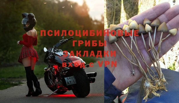 бошки Алексин