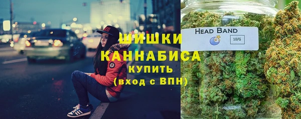 бошки Алексин