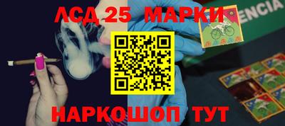 apvp Свободный